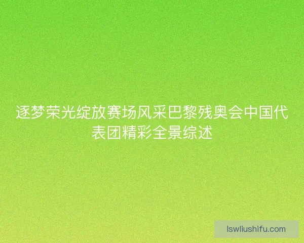 逐梦荣光绽放赛场风采巴黎残奥会中国代表团精彩全景综述 逐梦荣光绽放赛场风采巴黎残奥会中国代表团精彩全景综述
