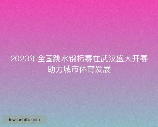2023年全国跳水锦标赛在武汉盛大开赛助力城市体育发展