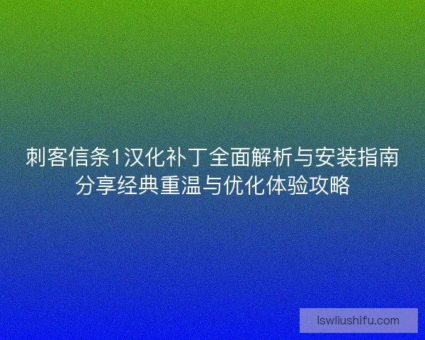 刺客信条1汉化补丁全面解析与安装指南分享经典重温与优化体验攻略