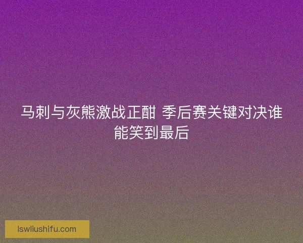 马刺与灰熊激战正酣 季后赛关键对决谁能笑到最后 马刺与灰熊激战正酣 季后赛关键对决谁能笑到最后