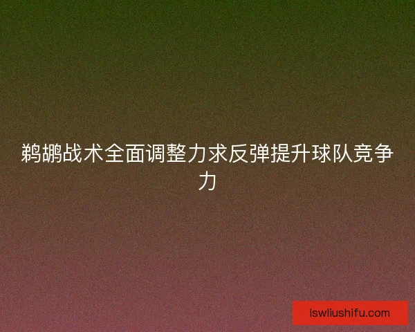 鹈鹕战术全面调整力求反弹提升球队竞争力
